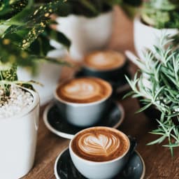 Cappuccino